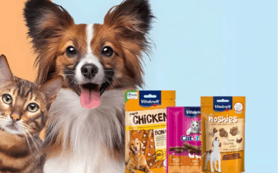 Rujan je u Offertissimi mjesec kućnih ljubimaca